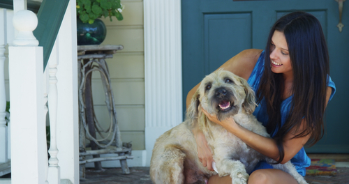 Most People Feels Safe When Walking Dog Most People Feels Safe When Walking Dog