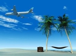 beach, palms, plane