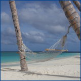 hammock on beach