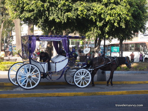 white horse drawn chariot in Guadalajara