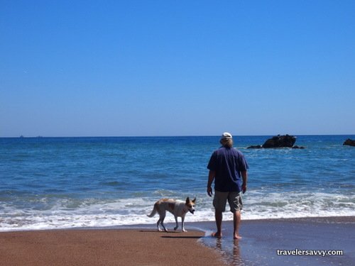 Man and dog on the beach