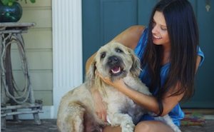 woman wearing blue on porch with dog